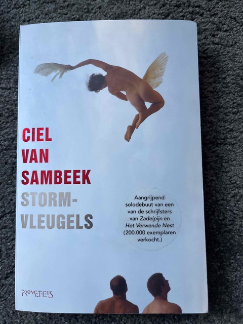 9789044608373-Stormvleugels