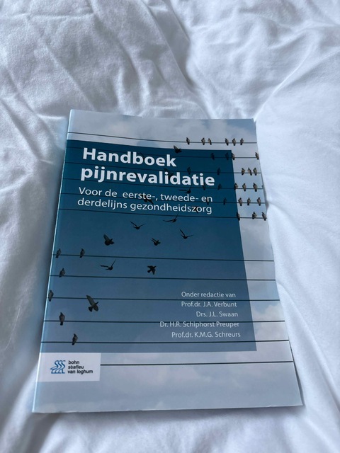 9789036822299-Handboek-pijnrevalidatie