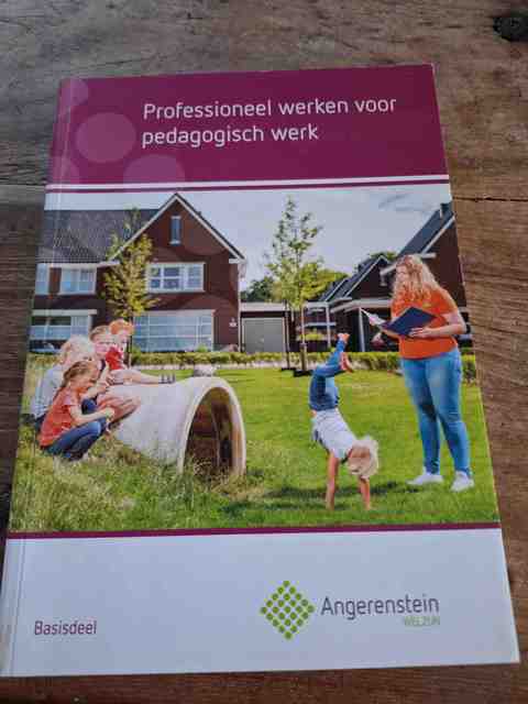 9789037244069-Professioneel-werken-voor-pedagogisch-werk-Basisdeel