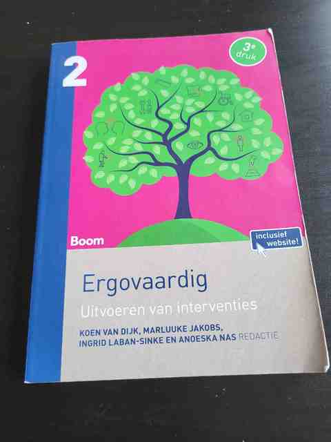9789089538376-Ergovaardig-deel-2-Uitvoeren-van-interventies-Uitvoeren-van-indtrventies