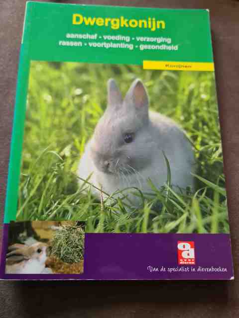 9789058210104-Het-dwergkonijn