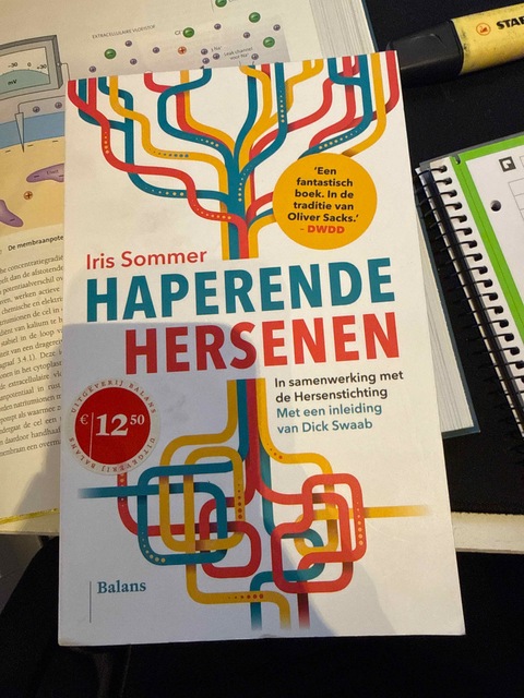 9789460038327-Haperende-hersenen