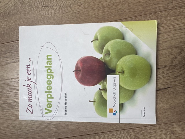 9789001804961-Zo-maak-je-een-verpleegplan