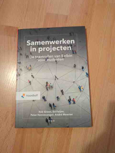 9789001749828-Samenwerken-in-projecten.