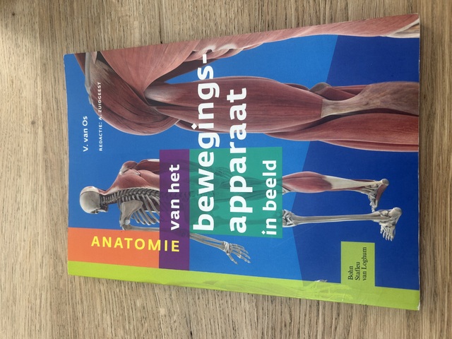 9789031389131-Anatomie-van-het-bewegingsapparaat-in-beeld