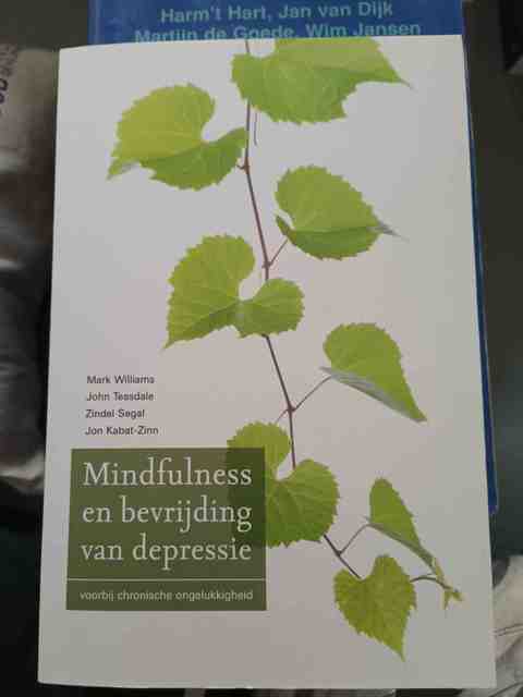 9789057122491-Mindfulness-en-bevrijding-van-depressie