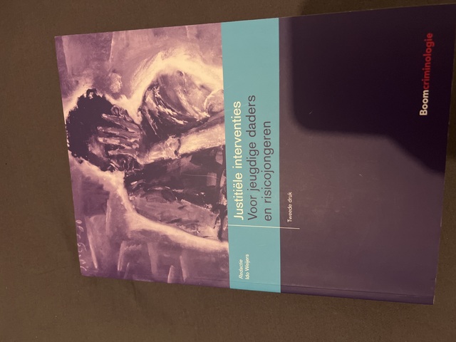 9789462365681-Justitiele-interventies