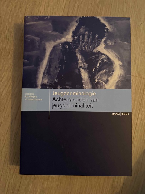 9789054548461-Jeugdcriminologie