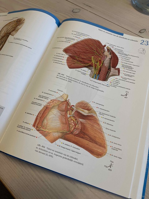 9789031331017-Atlas-van-de-menselijke-anatomie-I