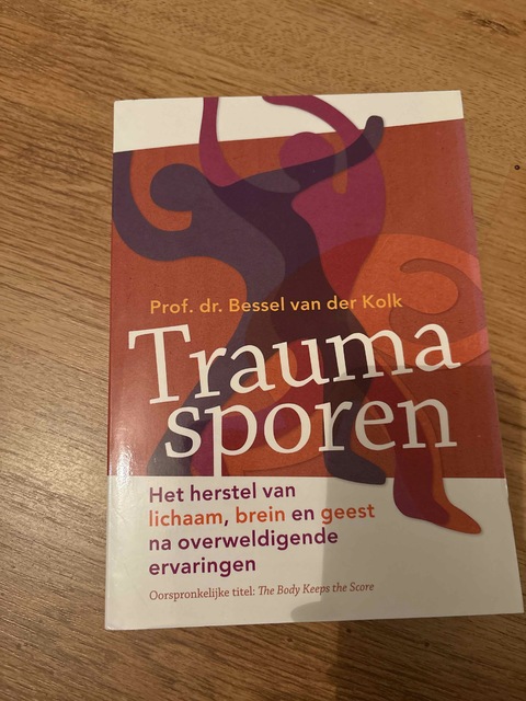9789463160315-Traumasporen