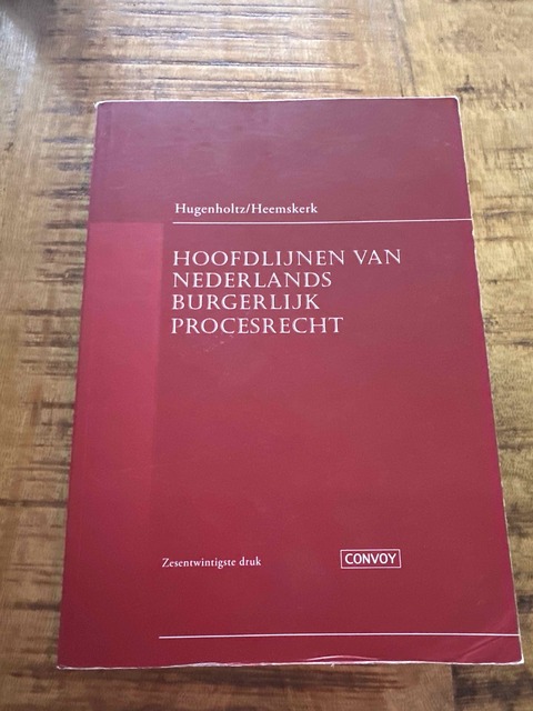 9789463173001-Hoofdlijnen-van-Nederlands-Burgerlijk-Procesrecht