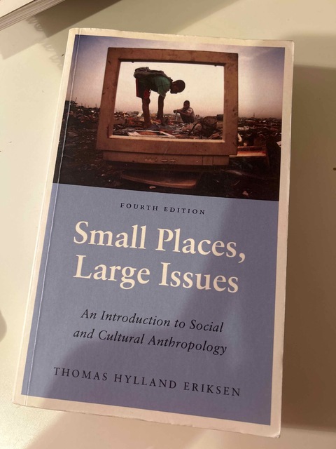 9780745335933-Small-Places-Large-Issues