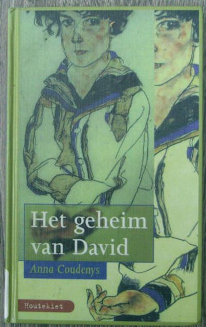 9789052404103-Het-geheim-van-David