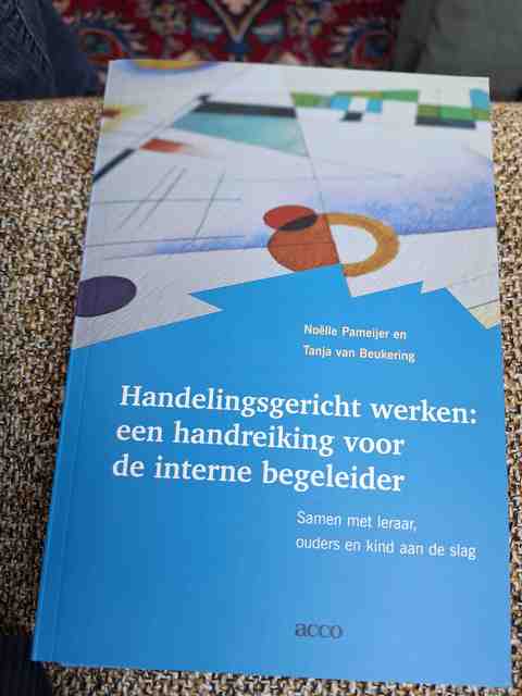 9789033462467-Handelingsgericht-werken-een-handreiking-voor-de-interne-begeleider