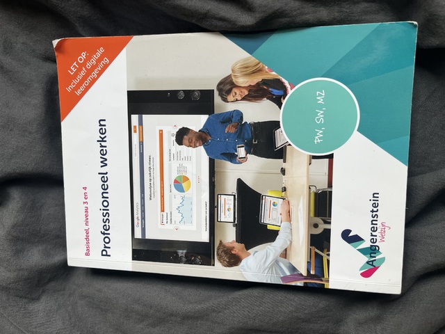 9789037254372-NIEUW-BOEK-Professioneel-werken