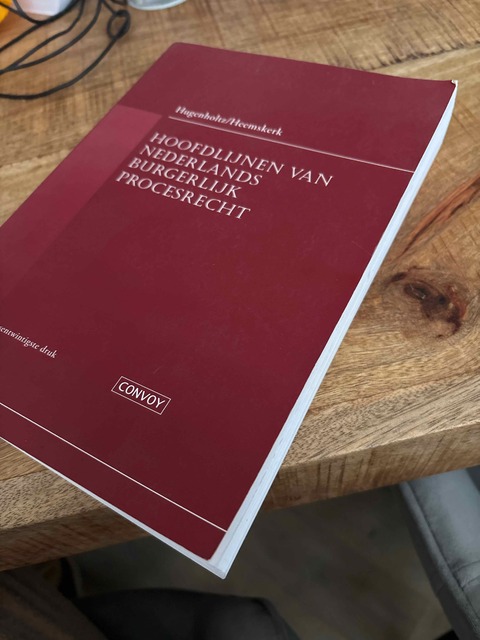 9789463173001-Hoofdlijnen-van-Nederlands-Burgerlijk-Procesrecht