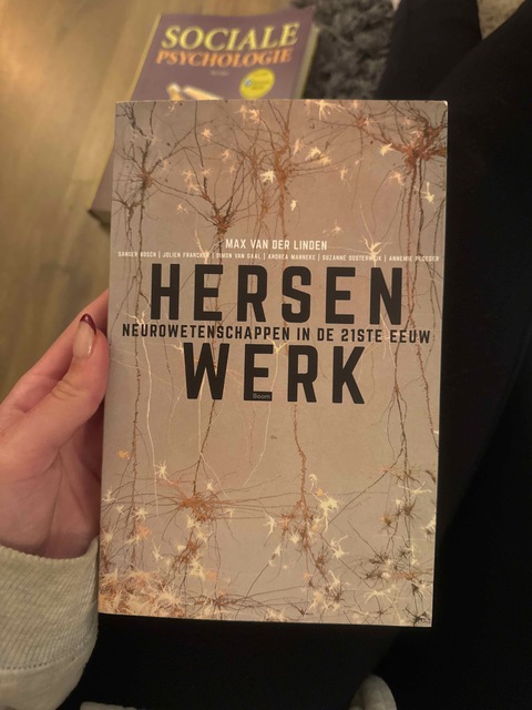 9789058758675-Hersenwerk