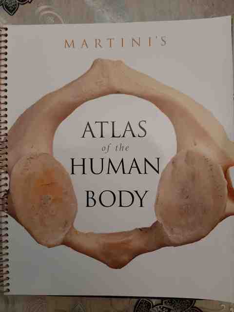9780321505972-Martinis-Atlas-of-the-Human-Body-Integrated-Product