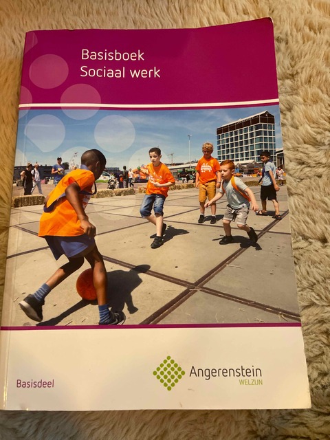 9789037244045-Basisboek-sociaal-werk