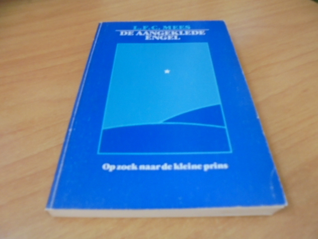 9789060380536-De-aangeklede-engel