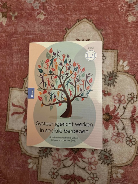 9789024437900-Systeemgericht-werken-in-sociale-beroepen