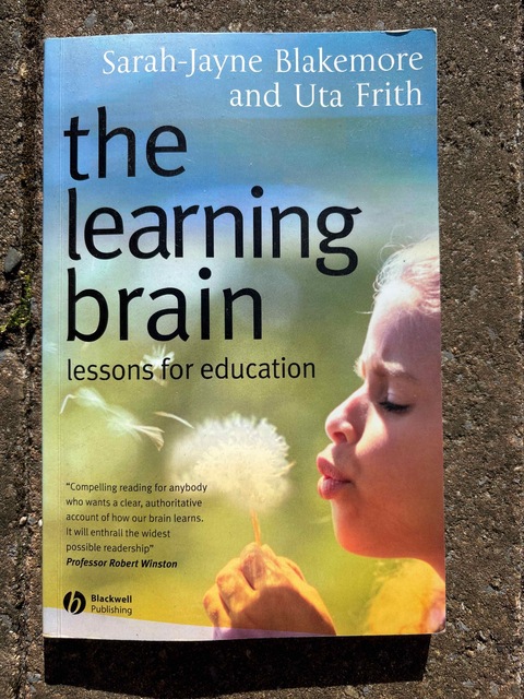 9781405124010-The-Learning-Brain