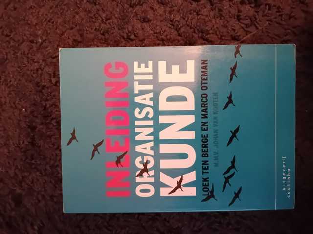 9789046905234-Inleiding-organisatiekunde