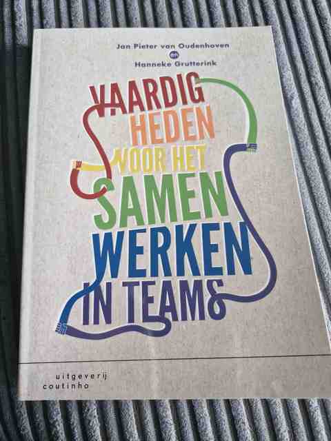 9789046903858-Vaardigheden-voor-het-samenwerken-in-teams