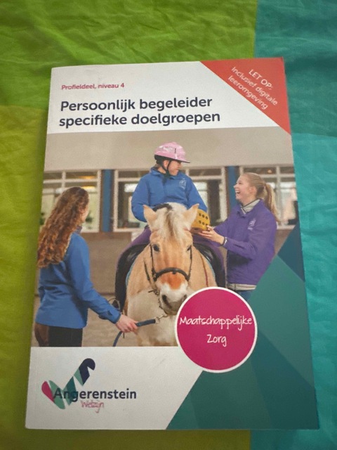 9789037229653-Persoonlijk-begeleider-specifieke-doelgroepen