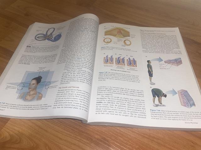 9781260085228-ISE-Vanders-Human-Physiology