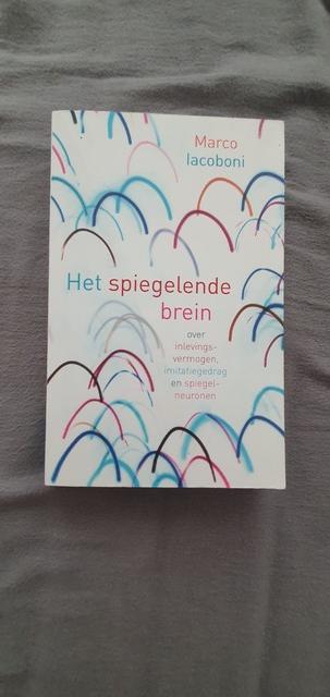 9789057122767-Het-spiegelende-brein