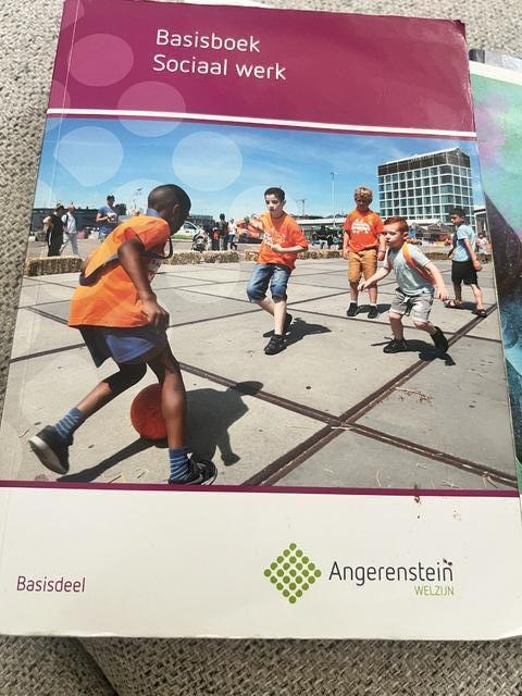 9789037244045-Basisboek-sociaal-werk