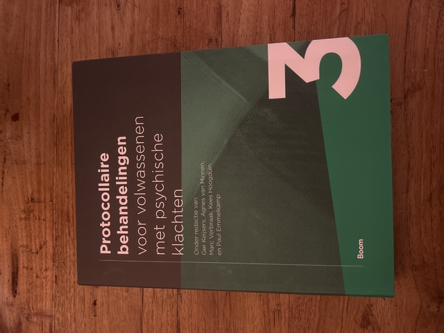 9789089537157-Protocollaire-behandelingen-3