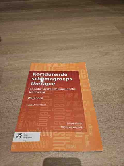 9789031398683-Kortdurende-schemagroepstherapie