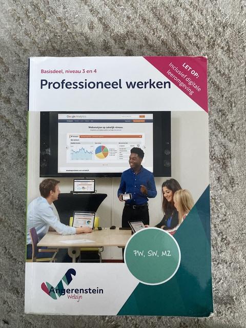 9789037254372-NIEUW-BOEK-Professioneel-werken