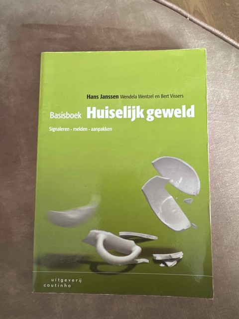 9789046904770-Basisboek-huiselijk-geweld
