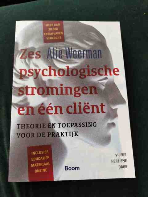 9789024402465-Zes-psychologische-stromingen-en-een-client