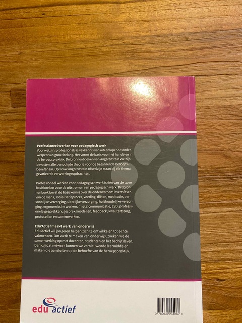 9789037244069-Professioneel-werken-voor-pedagogisch-werk-Basisdeel