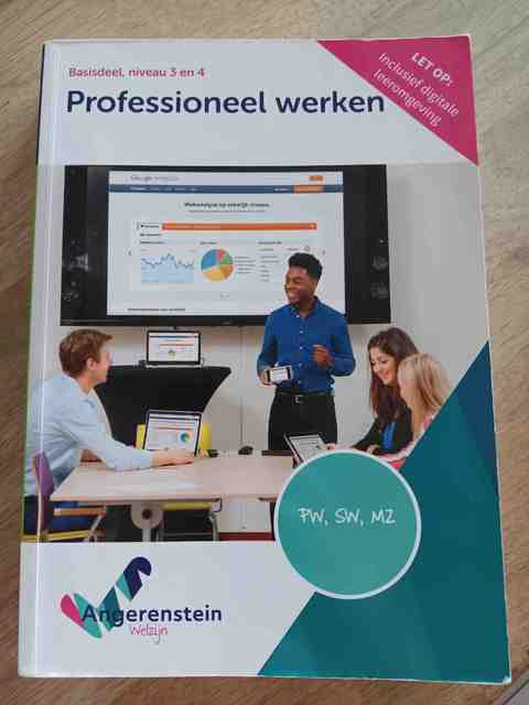 9789037254372-NIEUW-BOEK--Professioneel-werken