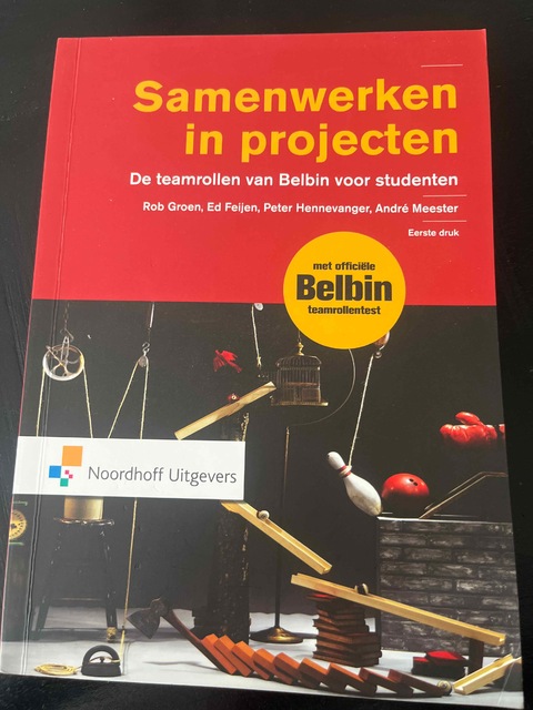 9789001850180-Samenwerken-in-projecten