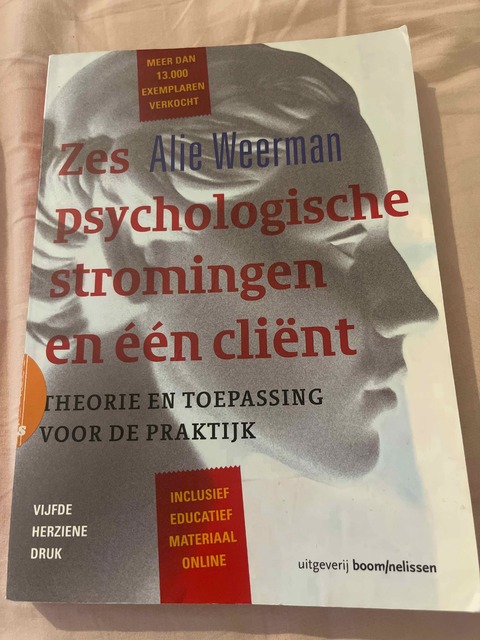 9789024402465-Zes-psychologische-stromingen-en-een-client