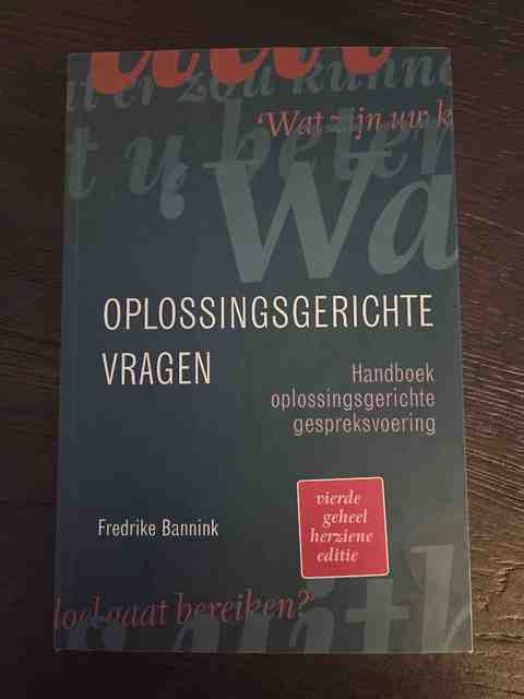 9789043036566-Oplossingsgerichte-vragen