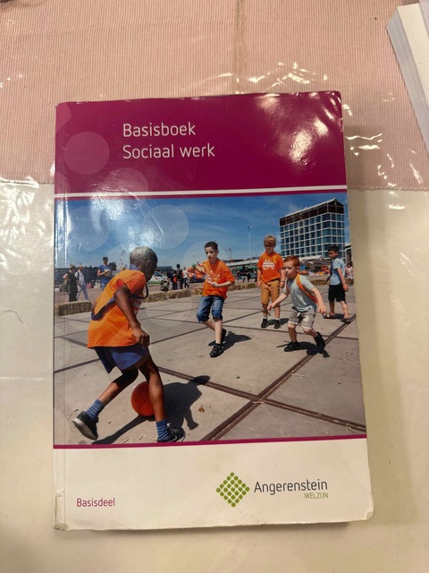 9789037244045-Basisboek-sociaal-werk