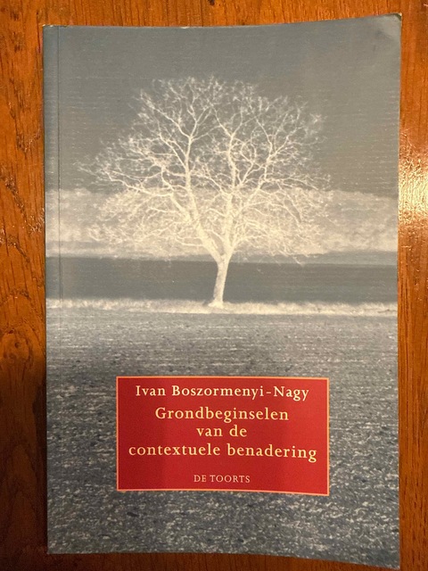 9789060207710-Grondbeginselen-van-de-contextuele-benadering