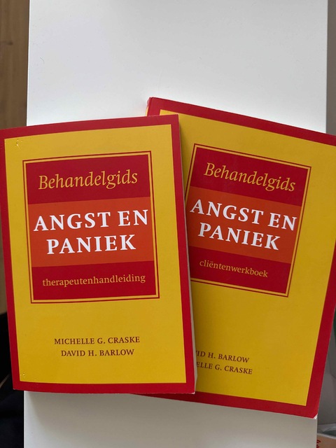 9789057123627-Behandelgids-angst-en-paniek