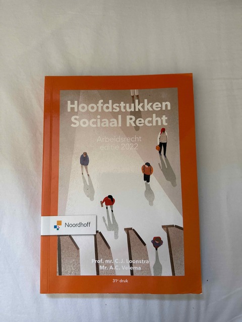 9789001299071-Hoofdstukken-sociaal-recht-2022