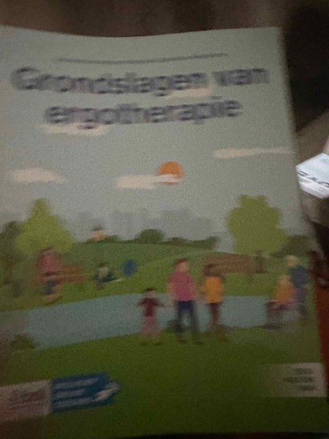 9789036828284-Grondslagen-van-ergotherapie