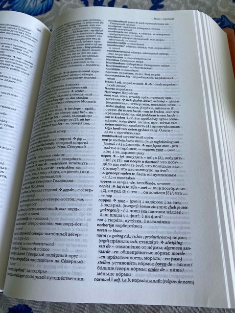 9789061432739-Groot-Nederlands-Russisch-Woordenboek