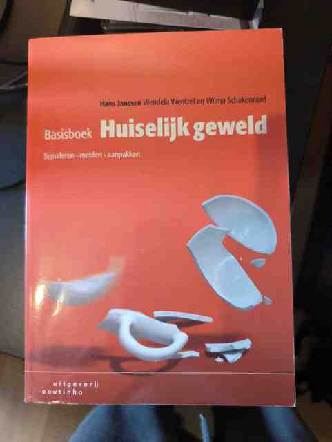 9789046906576-Basisboek-huiselijk-geweld
