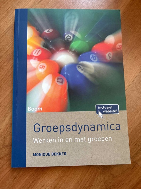 9789089539168-Groepsdynamica